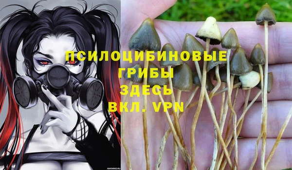 ГАЛЛЮЦИНОГЕННЫЕ ГРИБЫ Баксан