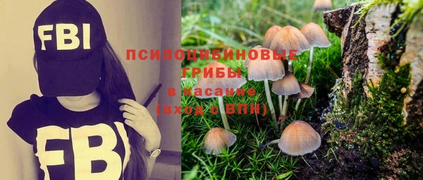 ГАЛЛЮЦИНОГЕННЫЕ ГРИБЫ Баксан