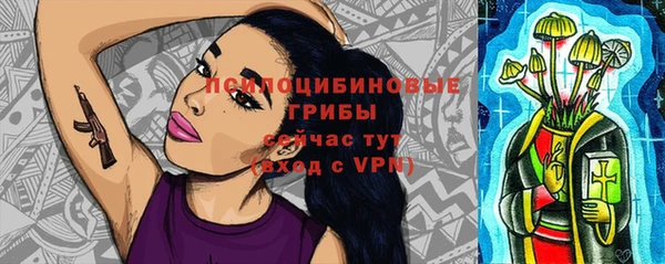 ГАЛЛЮЦИНОГЕННЫЕ ГРИБЫ Баксан